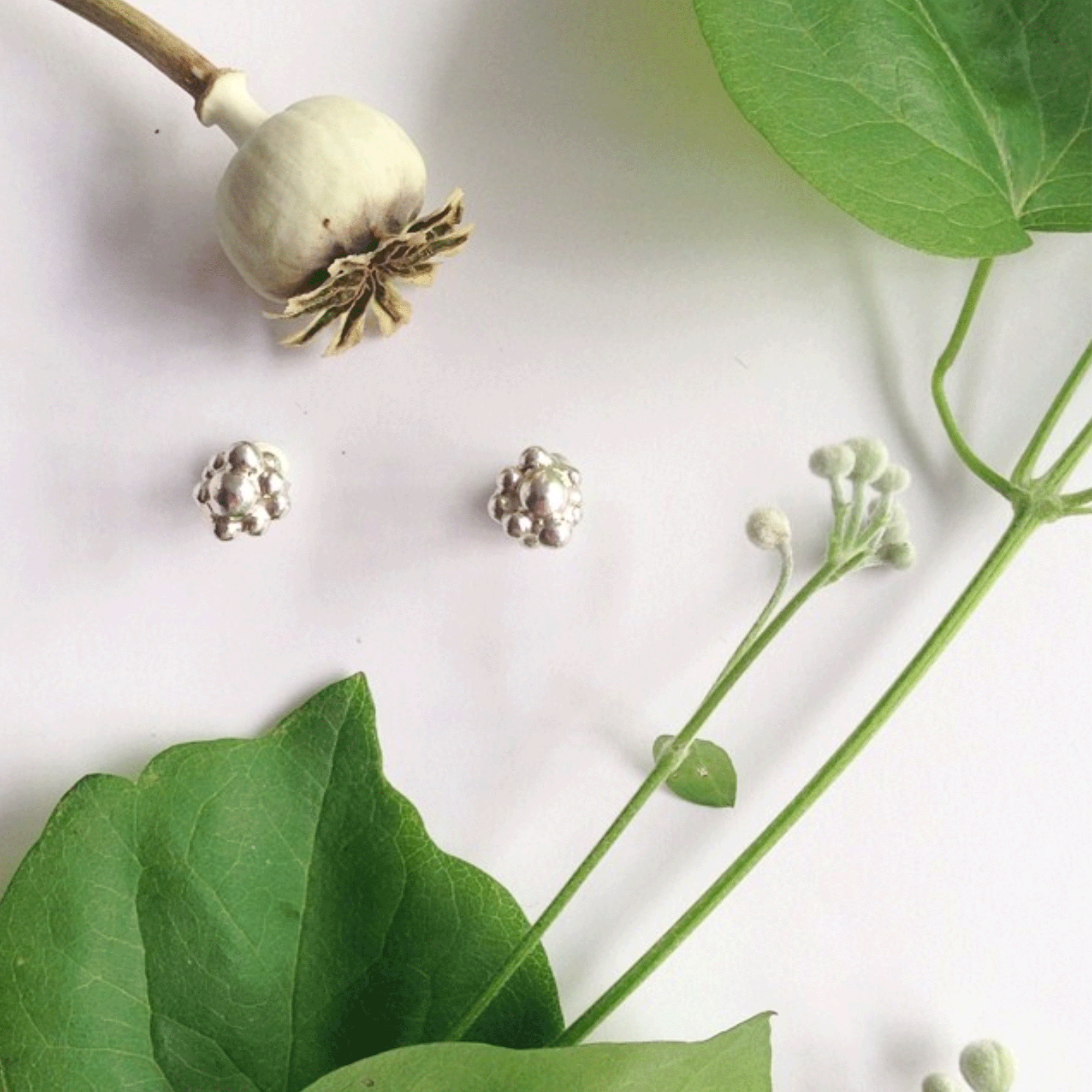 Seed Case Silver Stud Earrings