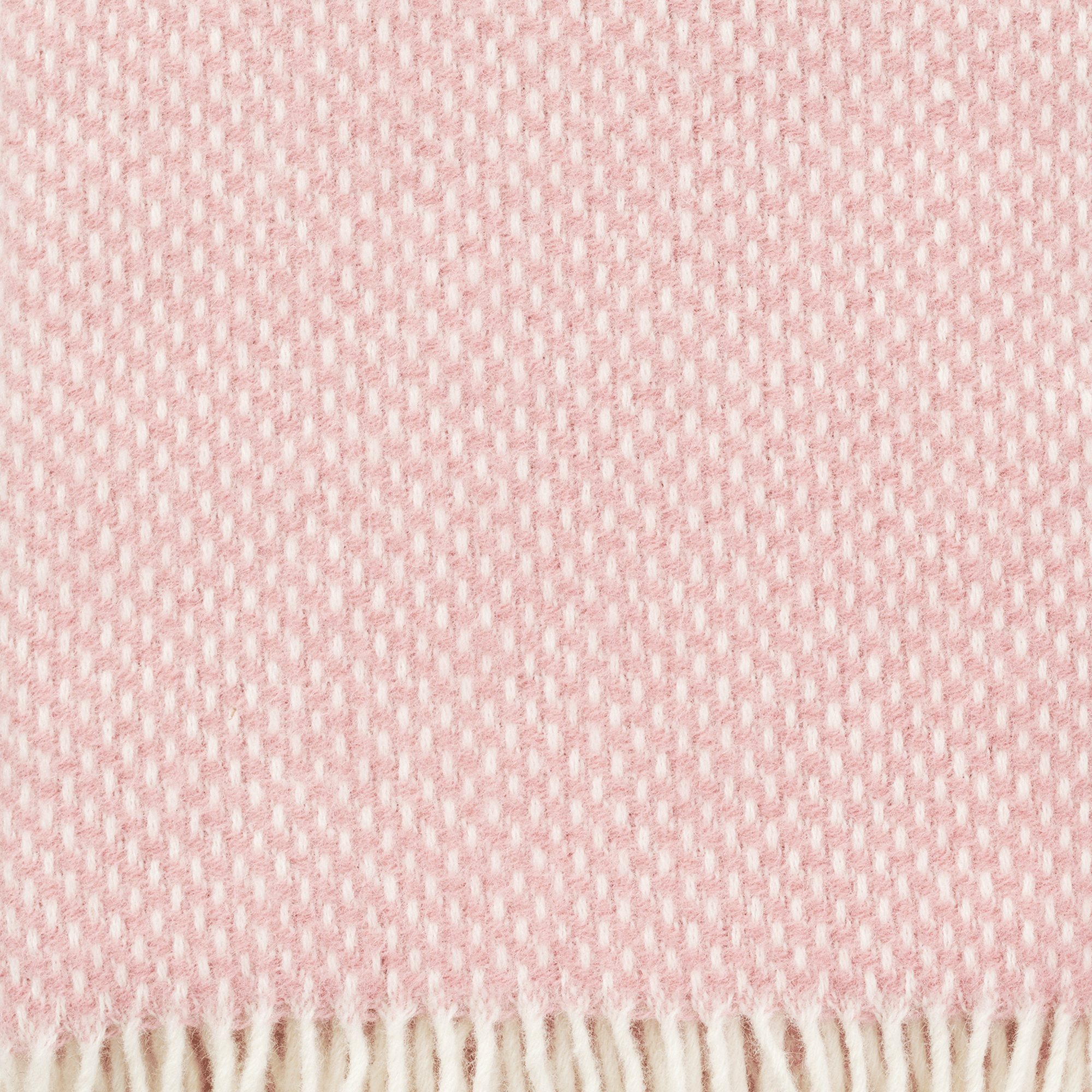 Preppy Misty Rose 130x200cm Lambswool Throw